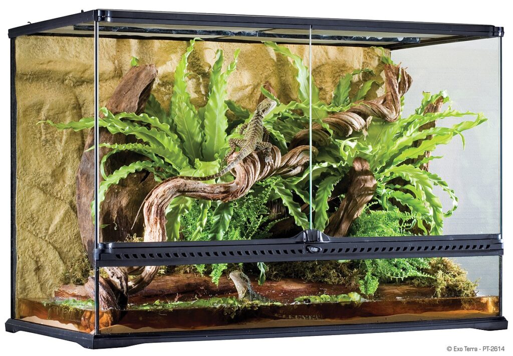 natural terrarium