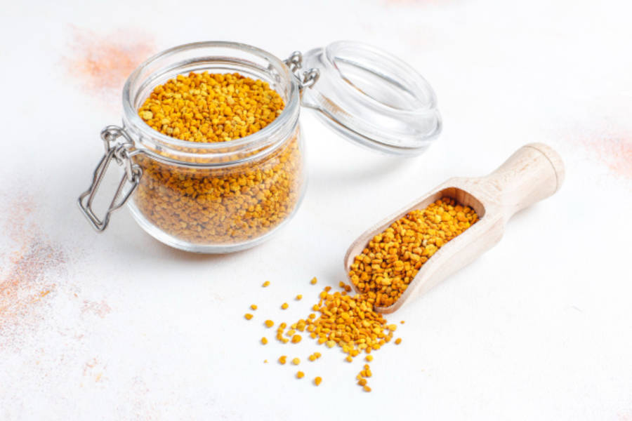 bee pollen for reptiles